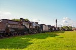 Steam Locomotives in the open area